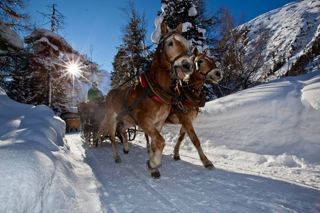 Carrozza trainata da cavalli in inverno