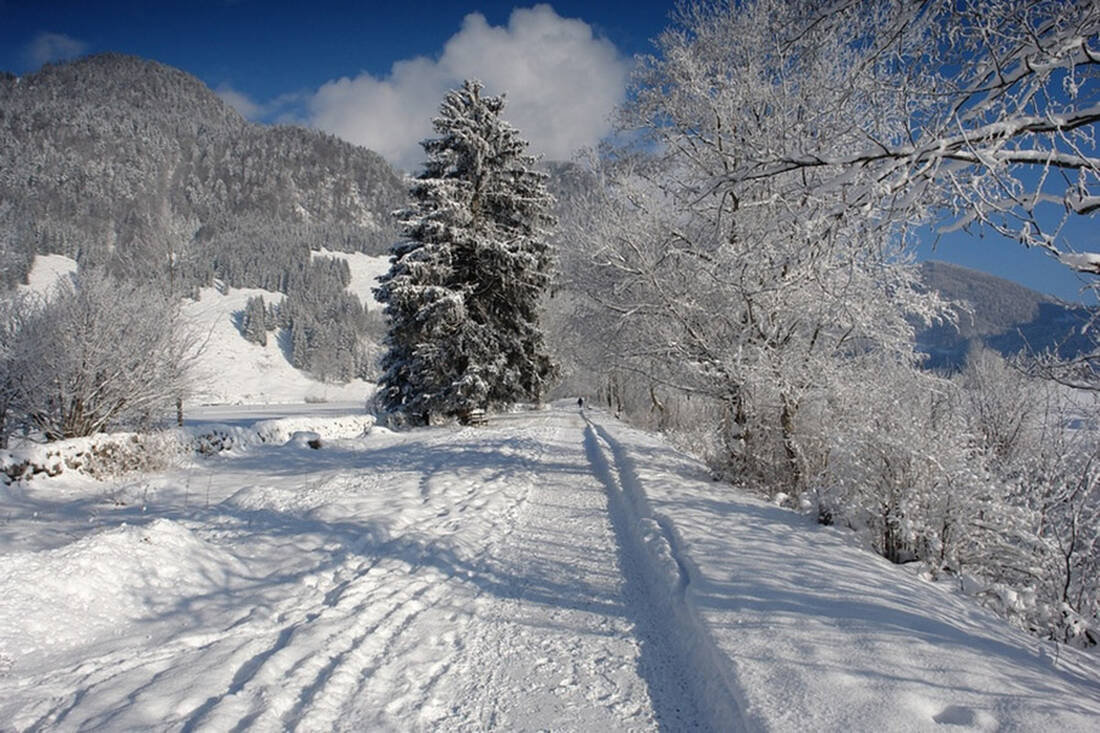 Camminata invernale nella regione olimpica di Seefeld