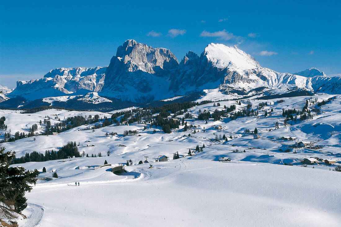 Dolomiti: L'Alpe di Siusi (2000m) con il Gruppo del Sassolungo