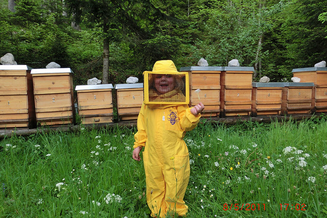Giovane apicoltrice Sabrina Christen durante la raccolta del miele nella riserva naturale Wilder Kaiser
