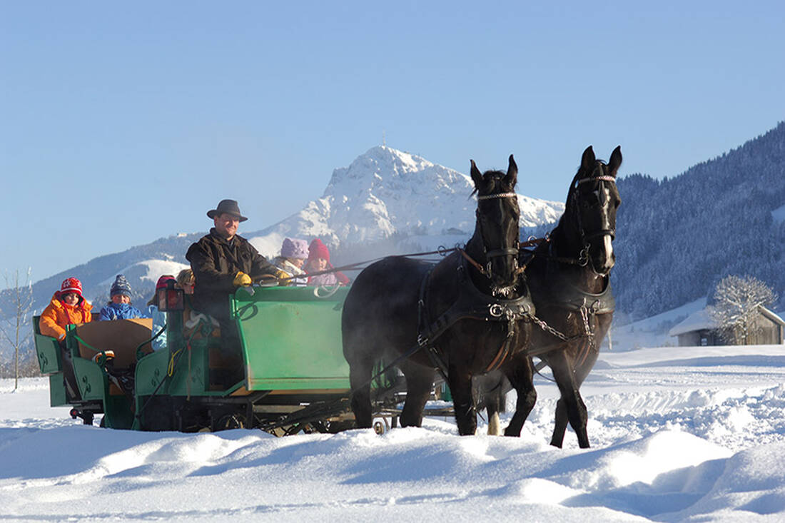 Gita in carrozza trainata da cavalli d'inverno