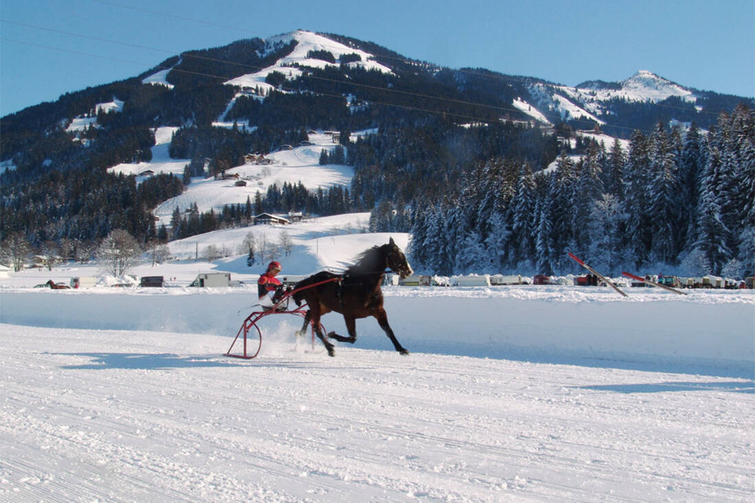 Corse di cavalli sulla neve a Westendorf