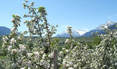 Il risveglio della primavera in Val Passiria